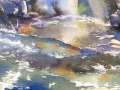 B037.jpg