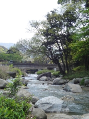 DSC00526.JPG