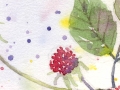 野いちご678.jpg